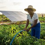 solar farm