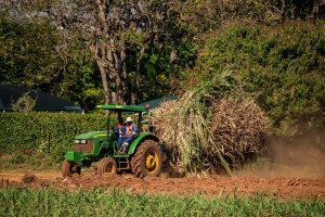 Uyo agribusiness conference raises expectations