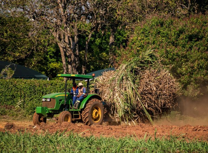 Uyo agribusiness conference raises expectations