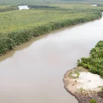 Biodiversity