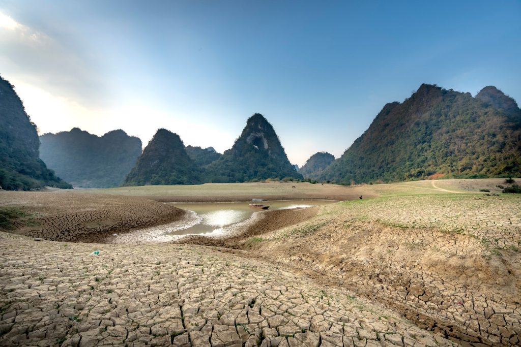 Farmers are being creative in drought