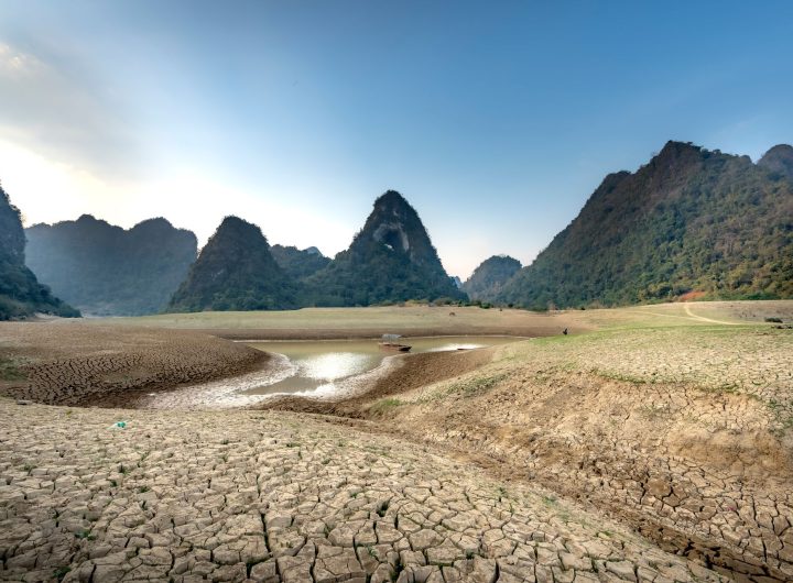 Farmers are being creative in drought