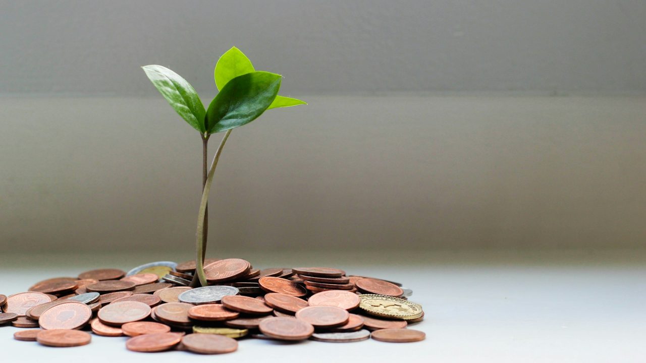green bonds