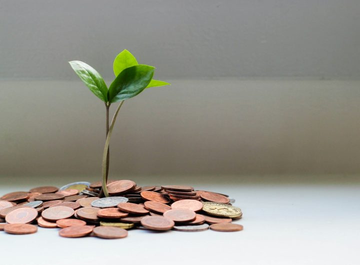 green bonds