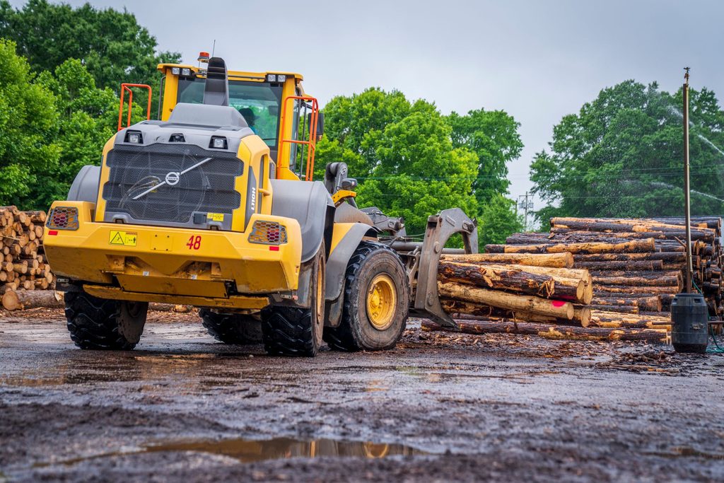 Logging is affecting forest conservation
