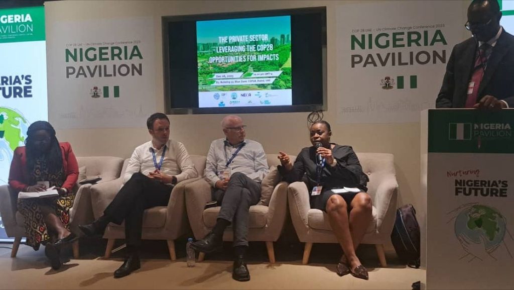 Lolade Awogbade at COP 28