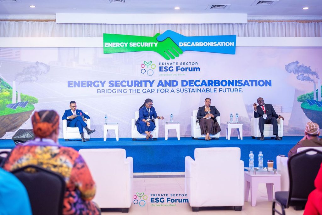Lolade Awogbade at ESG conference