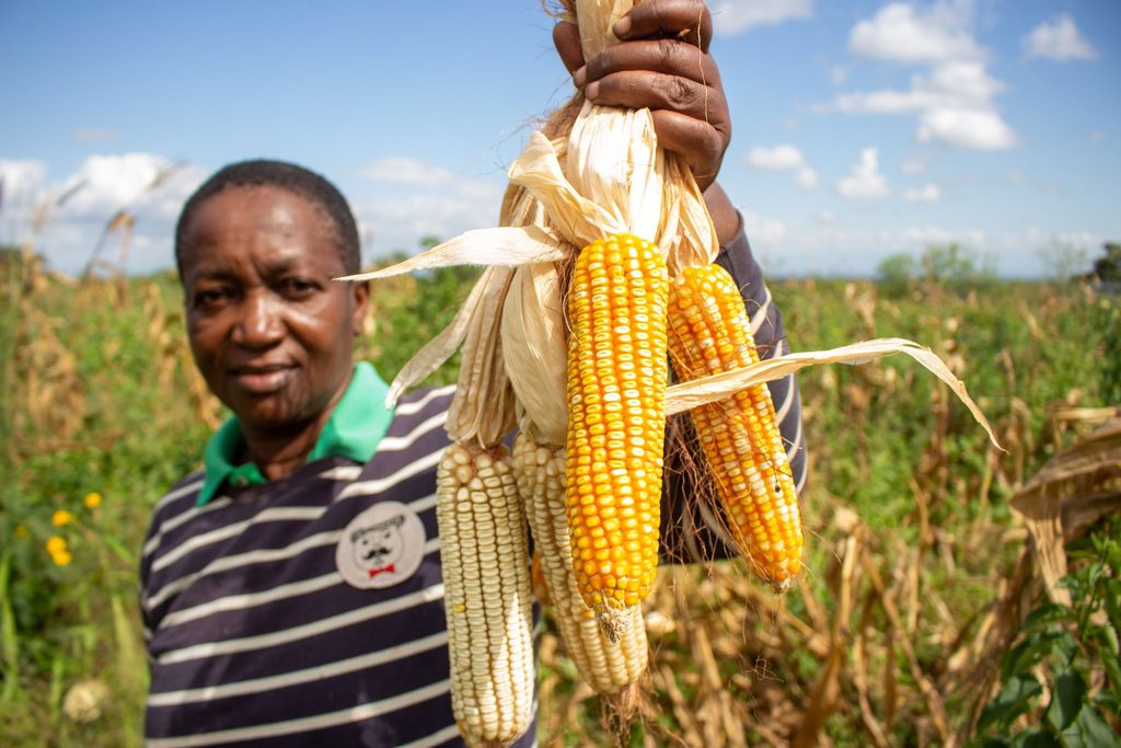 Port upgrade can lead to better access for farmers like this woman.