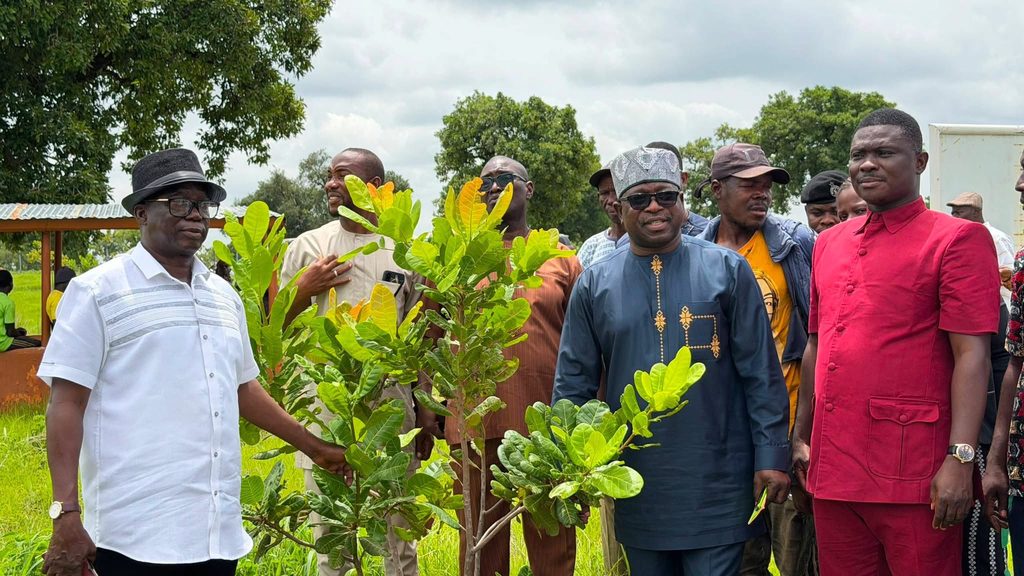 Ghana's first minister in charge of climate change and sustainability