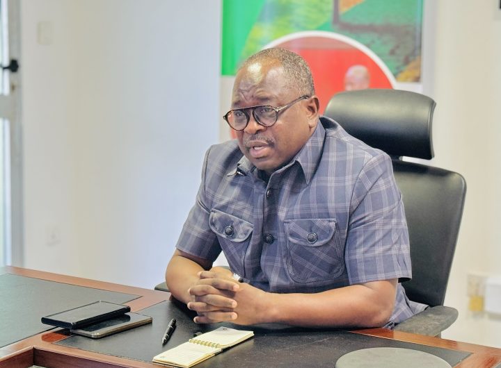 Ghana's minister for climate change and sustainability