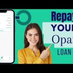 Who Carries the Risk? OPay’s Loan Losses and the Borrowers Behind the Numbers