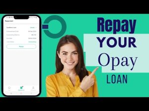 Who Carries the Risk? OPay’s Loan Losses and the Borrowers Behind the Numbers
