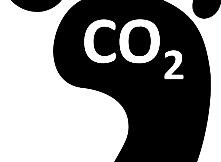 Who Owns the Carbon? Nigeria's Carbon Market Needs a Public Register Before It Needs More Projects
