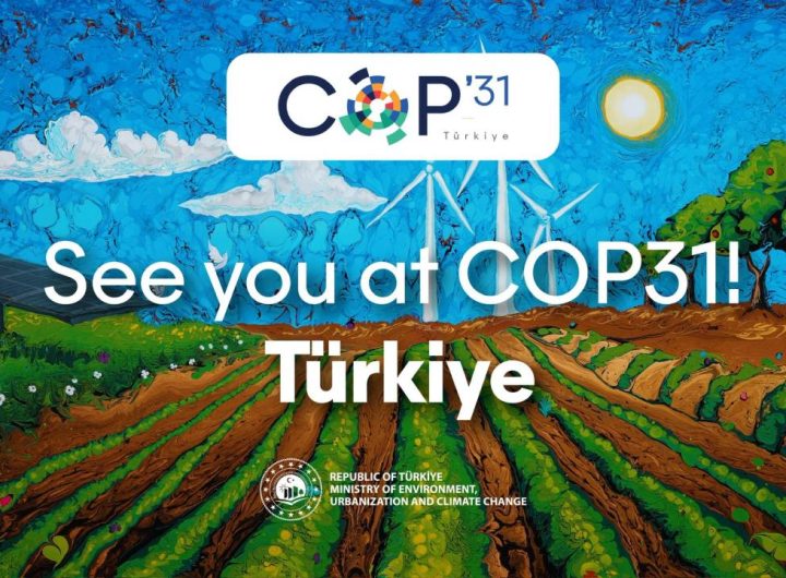 Who Will Ensure Nigeria’s COP31 Pledges Deliver Real Impact?